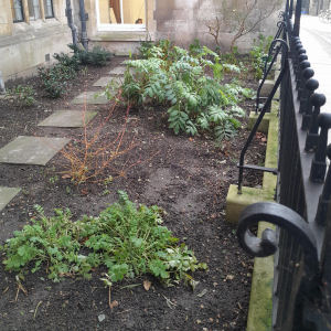 Old Botanical Garden